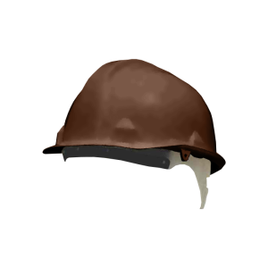 Safety Helmets - Brown, One Size